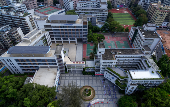 蛇口学校